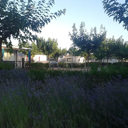 Fishing Campingplatz 2*