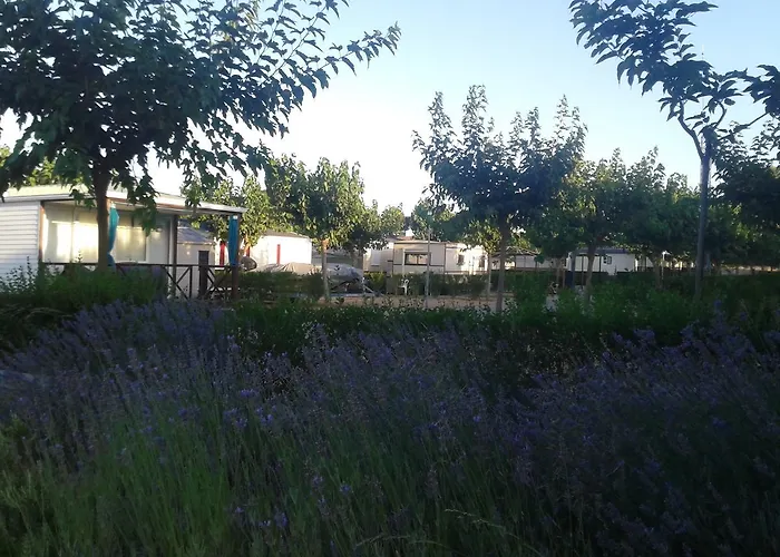 Fishing Campingplatz 2*